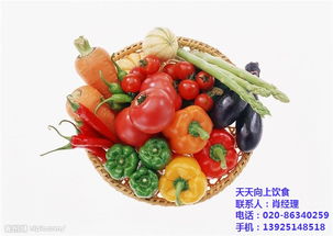 探索南海區(qū)工廠飯?zhí)貌惋嫹?wù) 聚焦“天天向上飲食”的承包管理