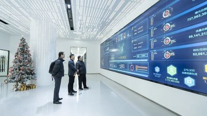 攜手共進，開創(chuàng)信息服務新篇章——上海市信息服務業(yè)行業(yè)協(xié)會秘書長陸雷一行蒞臨珍島集團調研