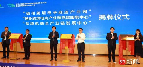 揚州軟件和信息服務外包大會成功舉辦，廣陵區(qū)國家電子商務示范基地正式揭牌